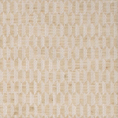 S5408 Tussah Fabric: