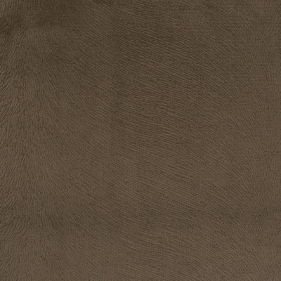 S5410 Cocoa Fabric: