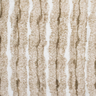 S5421 Red Fox Fabric: