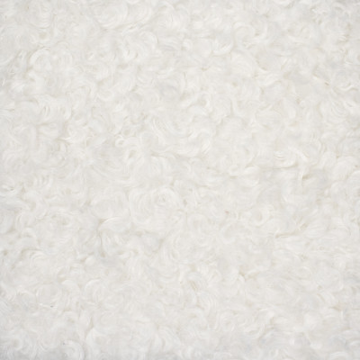 S5456 Marshmallow Fabric: