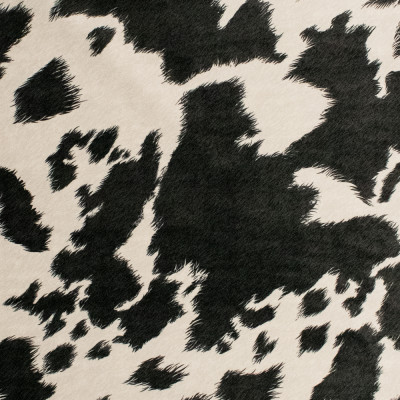 S5478 Chalkboard Fabric: