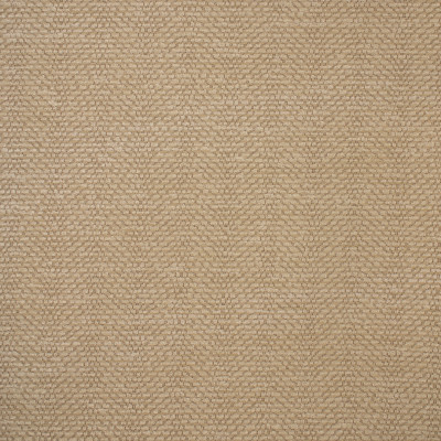 S5541 Wheat Fabric: