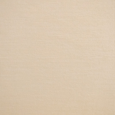 S5544 Ecru Fabric: