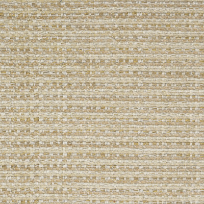 S5561 Wheat Fabric:
