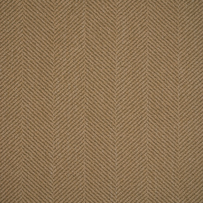 S5578 Trail Fabric: