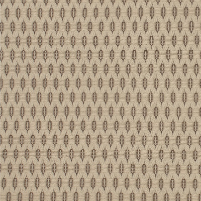 S5586 Desert Fabric: