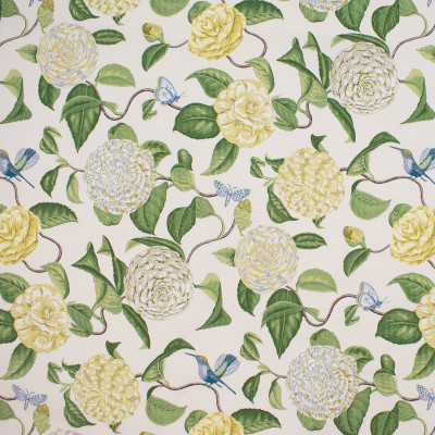 S5759 Oasis Fabric: