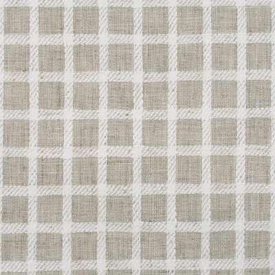 S5807 Zinc Fabric: