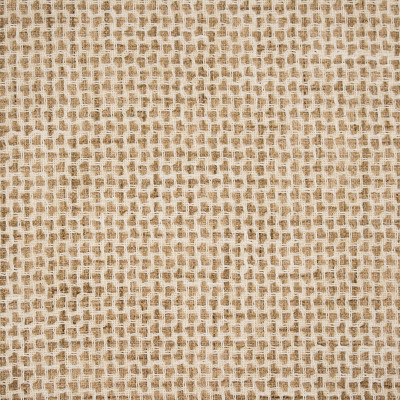 S5836 Harvest Fabric: