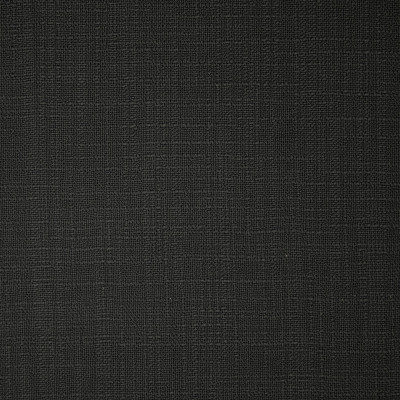 S5958 Charcoal Fabric: