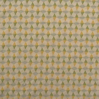 S6153 Citrus Fabric: