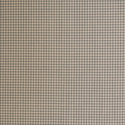 S6185 Lake Fabric: