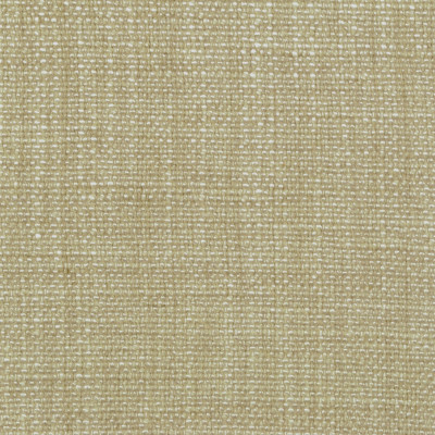 S6201 Tussah Fabric: