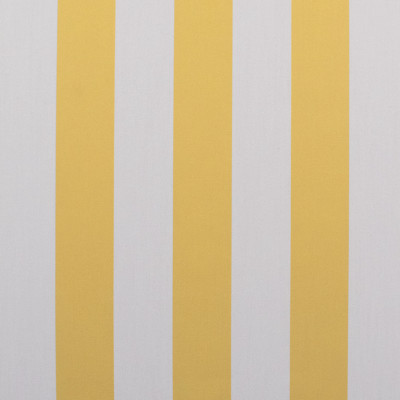 S6292 Chick Fabric: