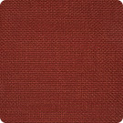 B3204 Paprika Fabric