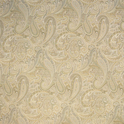 Paisley Fabrics | Greenhouse Fabrics