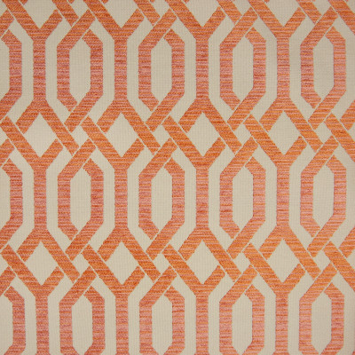 B9830 Tigerlilly Fabric
