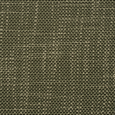 S3685 Sisal  Greenhouse Fabrics