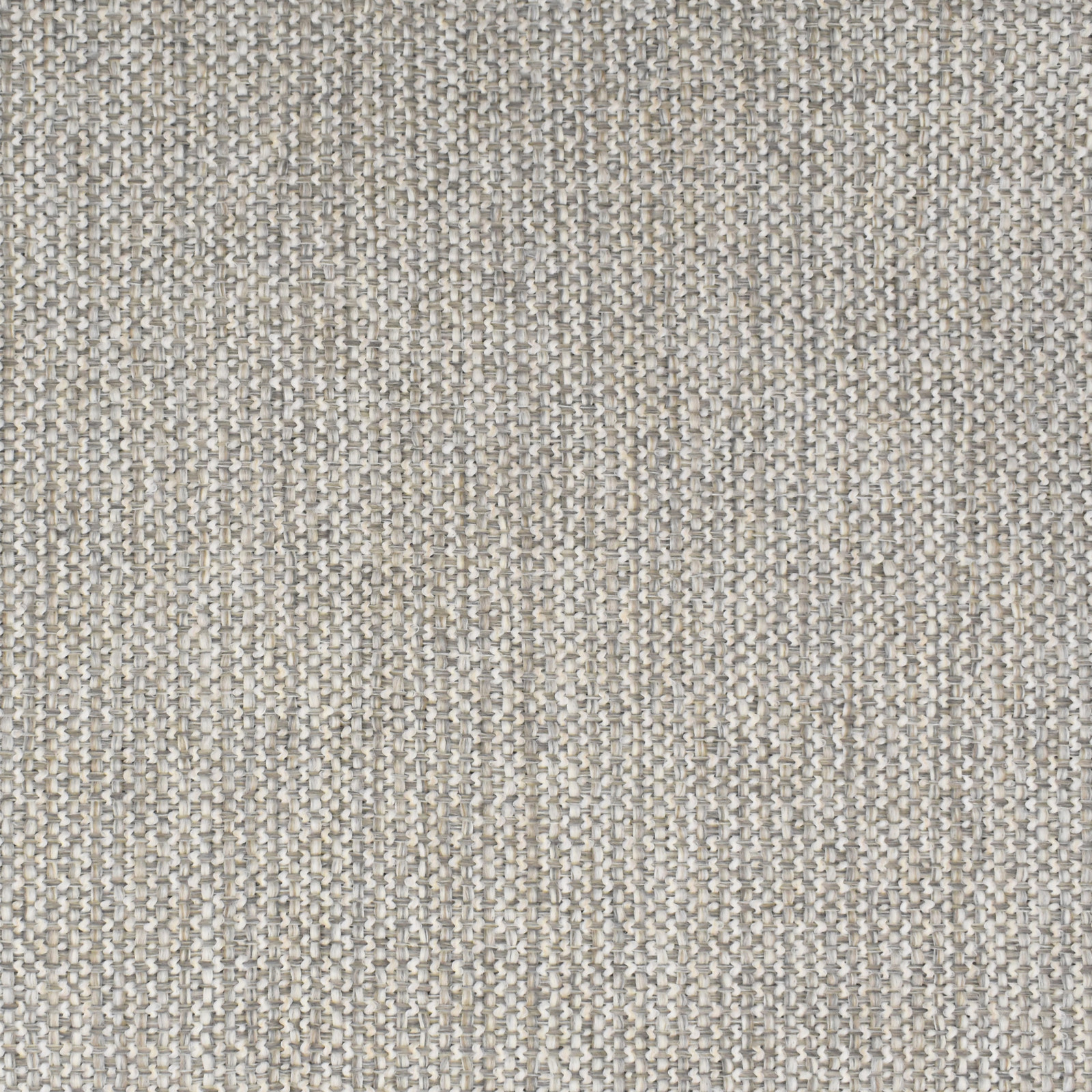 F3532 Cotton | Greenhouse Fabrics