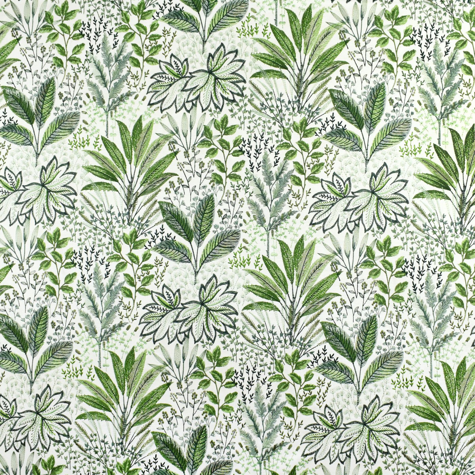 S2679 Fern | Greenhouse Fabrics