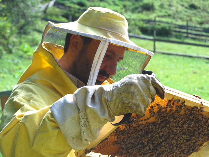 Uso dei pesticidi: da Strasburgo arriva un segnale positivo