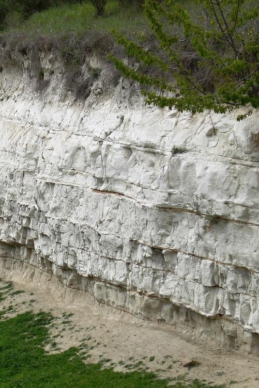 base dei sedimenti lacustri biancastri del MIS 19c con i livelli di ceneri vulcaniche datati (strati sottili arancioni) che ne hanno permesso di ottenere un preciso quadro cronologico della successione