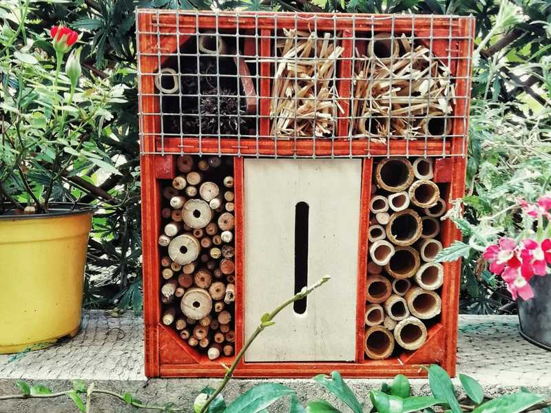 200 Tubi Di Cartone Per Api Selvatiche - Nidi Artificiali, Lunghezza 15 Cm, &Oslash; 8 Mm