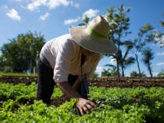 L’agroecologia che verrà nel 2021 agroecologia