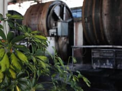 La pelle sostenibile di Be Green Tannery Be Green Tannery