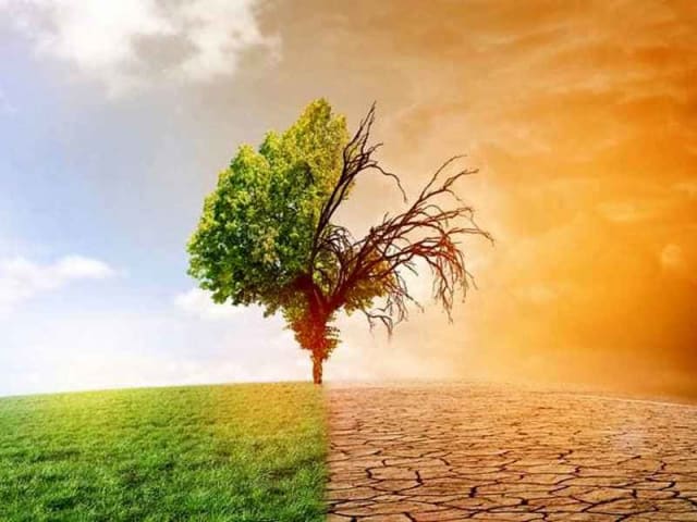 costi cambiamenti climatici - iscrizione al convegno resilienti ai cambiamenti climatici
