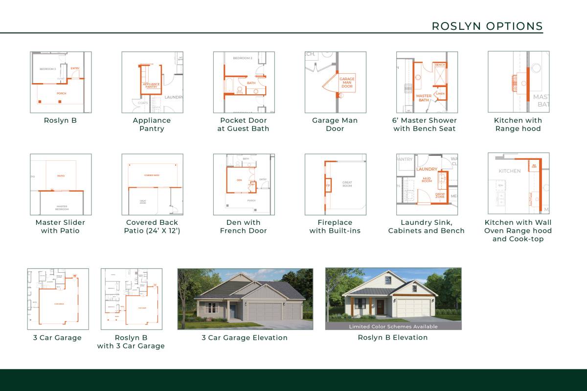 Roslyn Additional Options