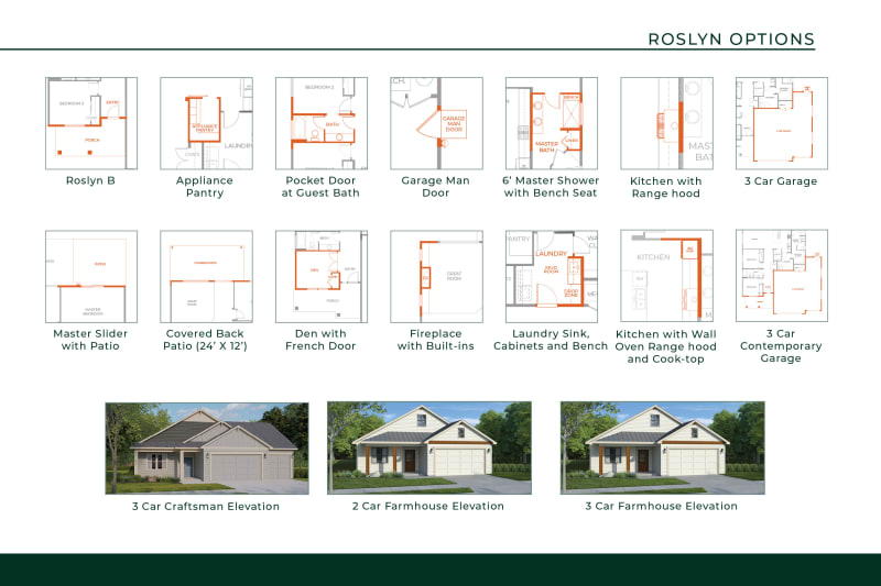 Roslyn Additional Options
