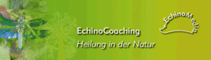 Firmenlogo von EchinoCoaching