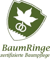 Firmenlogo von BaumRinge OHG