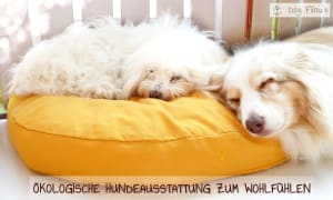 Firmenlogo von Dog Filou´s Onlineshop für Öko Hundezubehör