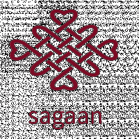 Firmenlogo von sagaan 