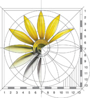 Firmenlogo von TUN e.V.