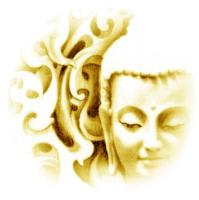 Firmenlogo von Meditationslehrer