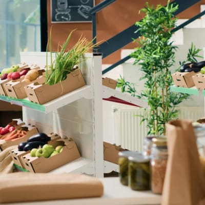 Umweltfreundlicher Zero-Waste-Supermarkt, der umweltfreundliche lokale Bio-Produkte verkauft und für einen gesunden Lebensstil wirbt. Leerer Lebensmittelladen mit lokal angebautem nachhaltigem Obst, Gemüse und Kräutern.