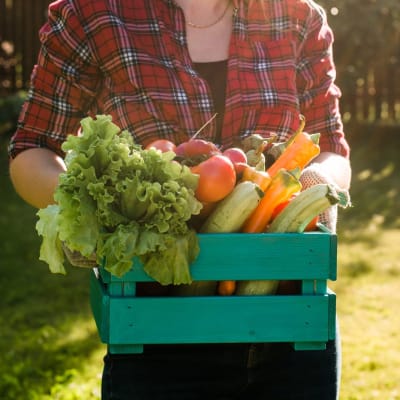 Bauer trägt Kiste mit geerntetem Gemüse