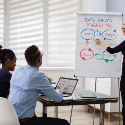 Junge Managerin hält im Büro vor ihren Kollegen einen Vortrag über Marketingdaten