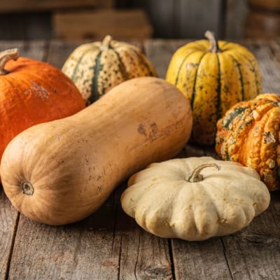 Verschiedene Kürbissorten auf einem Holztisch: Hokkaido, Butternut, Patisson und gestreifte Speisekürbisse