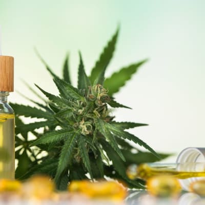 Flaschen mit CBD-Öl, Marihuana und Hanf