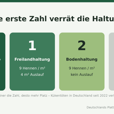 Infografik der vier Eier-Haltungsformen nach Code: 0 ökologisch (6 Hennen pro m², 4 m² Auslauf), 1 Freiland (9 Hennen, 4 m² Auslauf), 2 Boden (9 Hennen, kein Auslauf), 3 Käfig. Je kleiner die Zahl, desto mehr Platz.