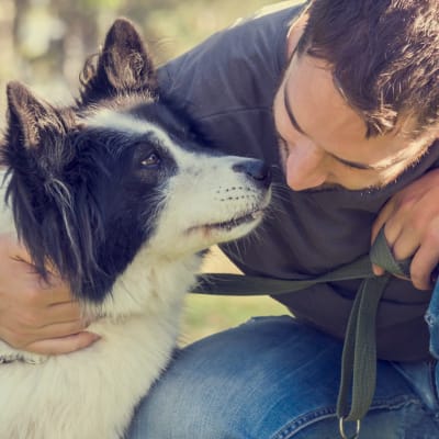  Mann mit seinem Hund beim Spielen im Park