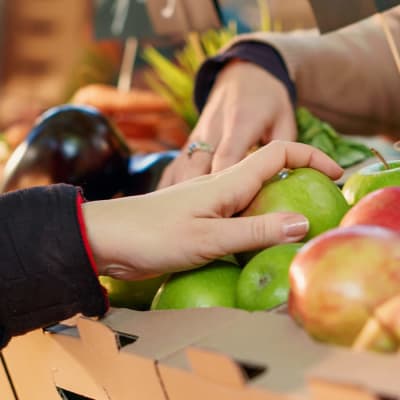 Hände wählen verschiedene Apfelsorten an einem Marktstand – Sortenvielfalt unterstützt die genetische Vielfalt unserer Nutzpflanzen
