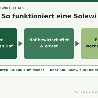 Ablauf-Infografik Solawi: Mitglieder finanzieren den Hof, der Hof bewirtschaftet und erntet, die Ernte wird wöchentlich geteilt. Ernteanteil 60 bis 140 Euro im Monat, über 500 Solawis in Deutschland.