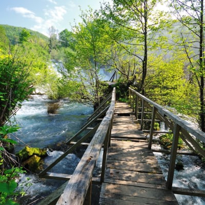 Wasserfall inmitten unberührter Natur mit frischem und sauberem Trinkwasser