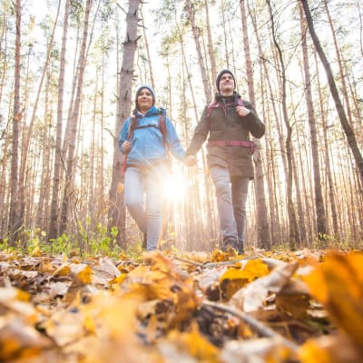 Ein Touristenpaar wandert im Wald.