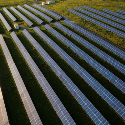  Solarpaneele, die Sonnenlicht nutzen, um erneuerbare Energie für verschiedene Wohnhäuser und Unternehmen zu erzeugen.